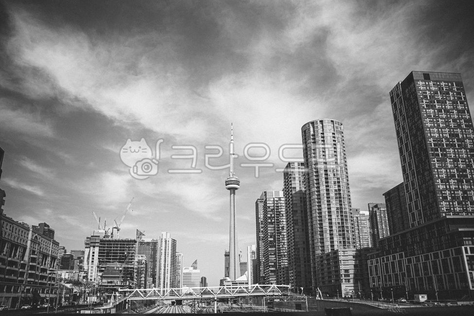 토론토,캐나다,cn타워,랜드마크,관광지,building,건물