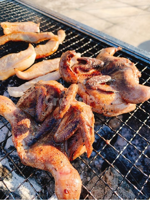 요리,술안주,안주,음식,삽결살,숯불,캠핑,토종닭,구이,시골,닭구이,닭,메추리,고기,육류