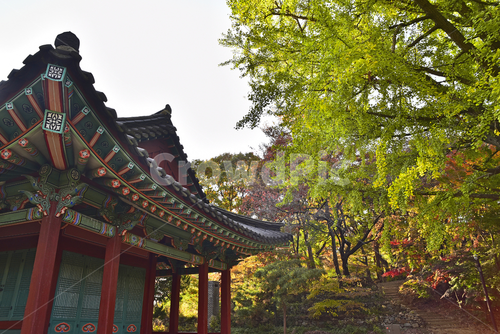 가을,남한산성,세계문화유산,유네스코,침괘정,unesco,유적지,조선시대,옛건축물,복원,가을풍경,가을배경,가을분위기,가을서정,시즌,계절,season,fall,autumn,background,architecture,건축물,building,건물,야외,옥외,아웃도어,outdoor,한국자연경관,한국자연풍경,풍경,landscape,돌담,기와지붕,전통양식,석축,칼라풀,컬러풀,colorful,돌담길,tree,나무,plant,식물,단청,처마,기둥,한국전통,한국문화,korean traditional,korean culture,건축물,건물외관,exterior,building,structure,architecture,construction
