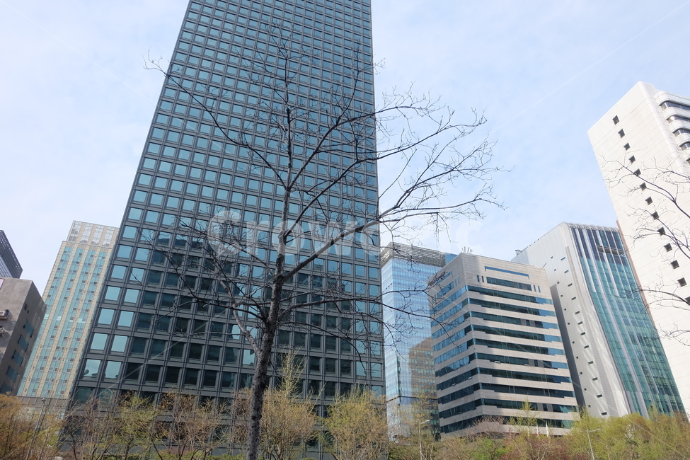 청계천,빌딩,나무,도시,서울,도시,풍경,city,landscape,office building,사무실 건물,building,건물,urban,어반,시티,high rise,고층 건물,town