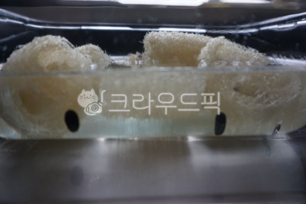 천연수세미,수세미,수세미열매,수세미말린거,수세미씨앗