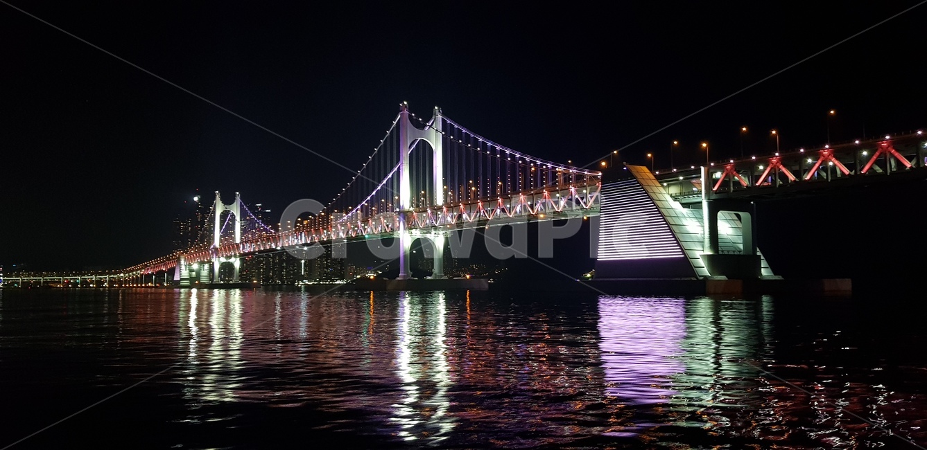 다리,건물,야경,부산,해운대,풍경