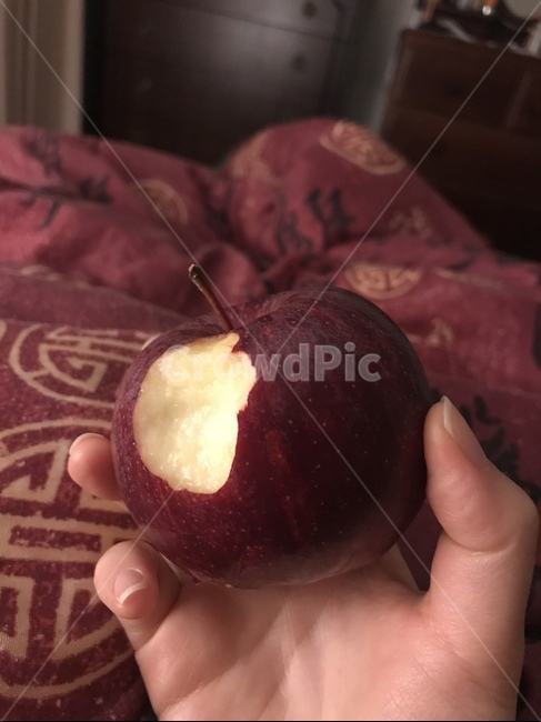과일,생식,채식,과일식,fruit,사과,홍로,음식,식재료,요리,food,cook,meal,dishes,food reserves,과일,열매,fruit