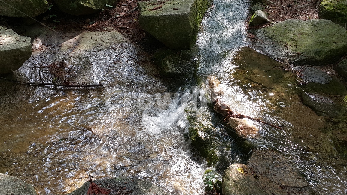 계곡,여름,개울물,폭포,바위,물놀이,자연,풍경,nature,landscape,water,물,outdoors,옥외,creek,작은 만,stream,흐름