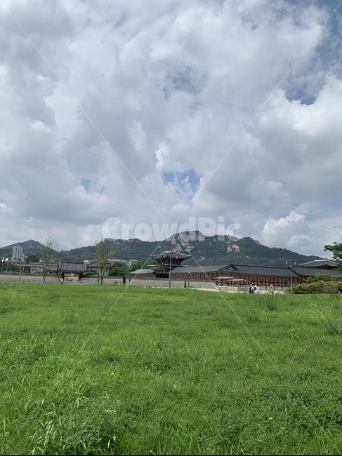 자연,식물,잔디,grassland,nature,자연,풍경,nature,landscape,outdoors,옥외,grass,plant,목초지,field,들,rural,농촌,farm,농장