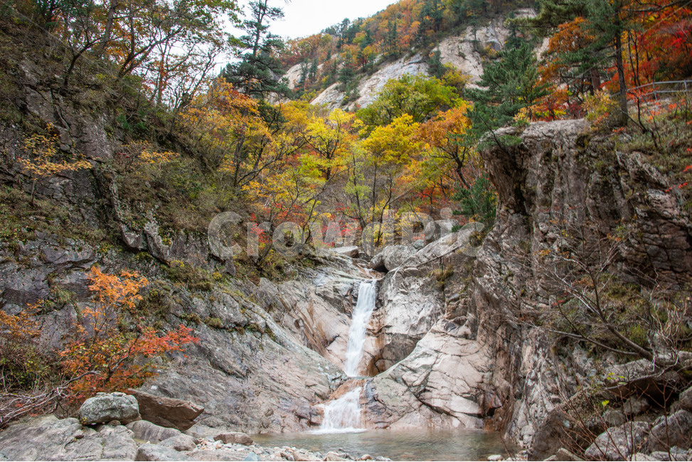 설악산,국립공원,가을,단풍,폭포,천불동계곡,가을,계절,fall,autumn,season,자연,풍경,nature,landscape,한국자연풍경,한국자연경관,korea nature landscape,outdoors,옥외,water,물,stream,흐름,creek,작은 만
