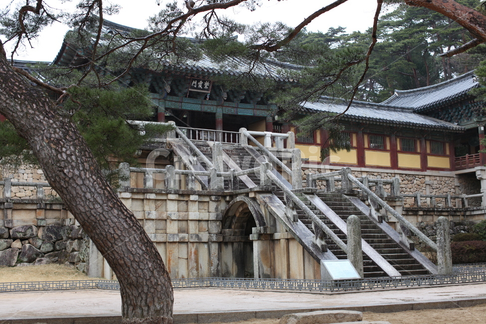 불국사,경주,배경,절,temple