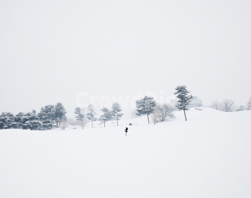 설경,눈,풍경,겨울,winter,season,snow,photo,올림픽공원,감성사진,자연,한국자연경관,겨울,계절,winter,season,자연,풍경,nature,landscape,사람,인물,인간,human,person,storm,폭풍,outdoors,옥외,blizzard,눈보라