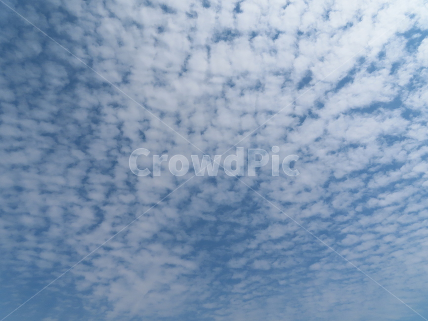 구름,하늘,자연,흰색,파랑색,아름다움,풍경,cloud,sky,white,blue,beauty,nature,scenery