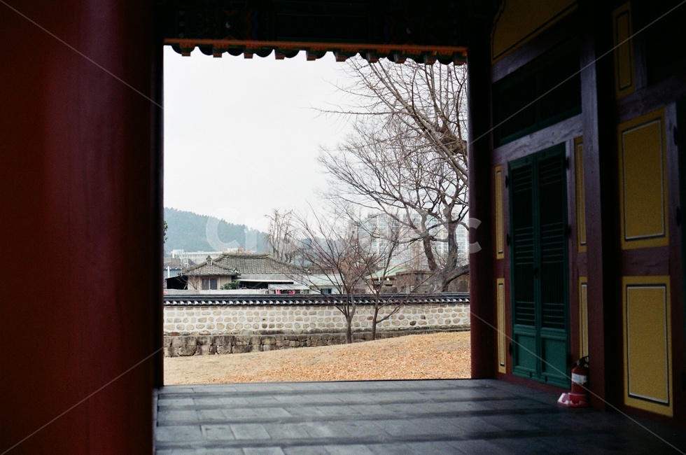 한국,전통,korea,traditional,은행,가을,한옥,시골,나주,ginkgo,autumn,koreatraditionalhouse