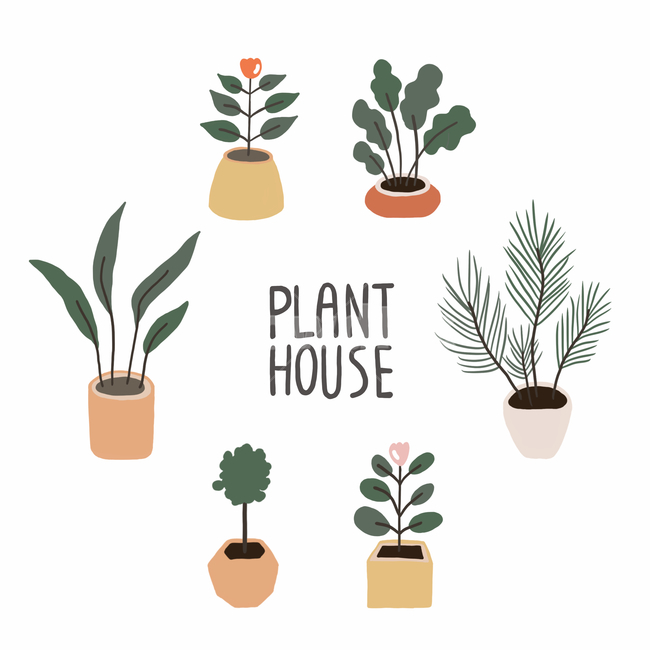식물,plant,화분,꽃,잎,flower,leaves,planthouse,그래픽,일러스트레이션,graphic,illustration