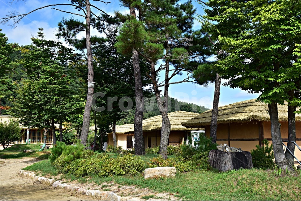 삼강,경북예천,예천명소,삼강주막,나루터,사공숙소,주막,문화재,초가집,한국전통,한국문화,korean traditional,korean culture,건축물,건물외관,exterior,building,structure,architecture,construction