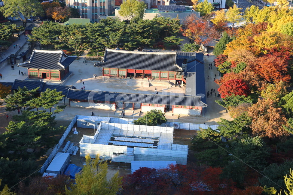 덕수궁,궁,문화재,과거,기와집,옛날집,단풍,단풍나무,나무,가을,자연,풍경,덕수궁전망대,전망대,가을,계절,fall,autumn,season,한국전통,한국문화,korean traditional,korean culture,랜드마크,landmark,tourist attraction,한국랜드마크,한국관광지,한국명소,korea landmark,korea tourist attraction,nature,outdoors,옥외,landscape,경치,scenery