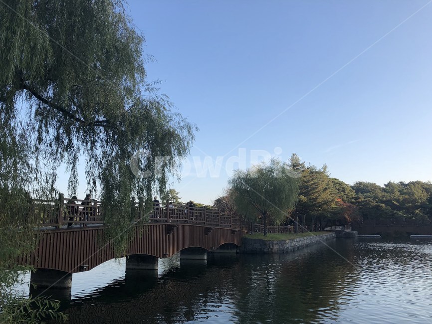 의림지,제천,nature,저수지,충청북도,landscape,보행로,나무,유적지,맑음,역사,자연,풍경,nature,landscape,사람들,대중,군중,other people,crowd,castle,성,architecture,건축물,building,건물,outdoors,옥외