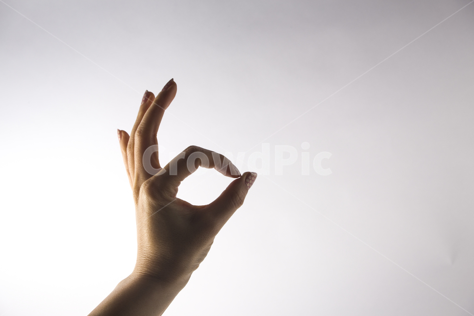 손,손모양,제스처,손짓,왼손,여자손,사람,오케이,사람,인물,인간,human,person,신체일부,몸,body,손,제스처,표시,손짓,표현,gesture,hand,sign,expression