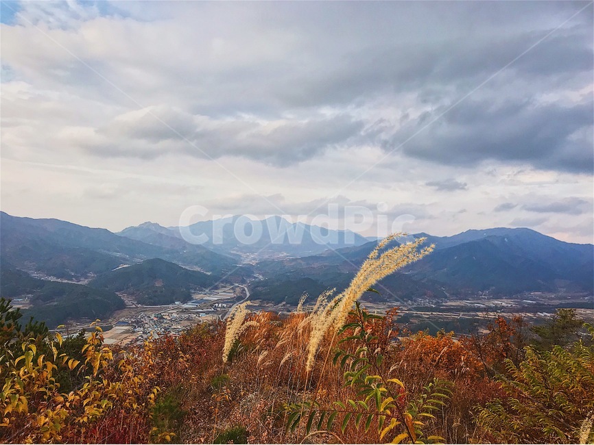 산,정상,하늘,갈대,가을,가을,계절,fall,autumn,season,자연,풍경,nature,landscape,한국자연풍경,한국자연경관,korea nature landscape,mountain range,산맥,mountain,outdoors,옥외