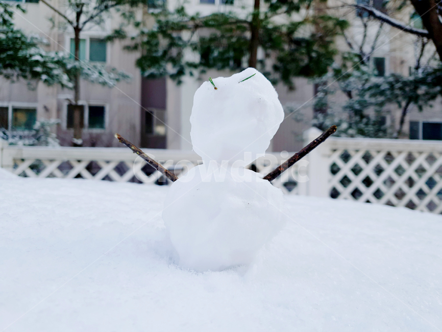 눈,눈사람,겨울,계절,눈송이,winter,season,snow,추위