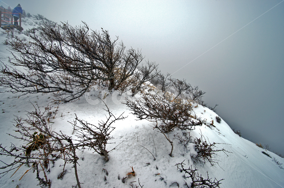 겨울산,한라산,제주도,설경,설산,한라산설경,겨울,겨울,계절,winter,season,자연,풍경,nature,landscape