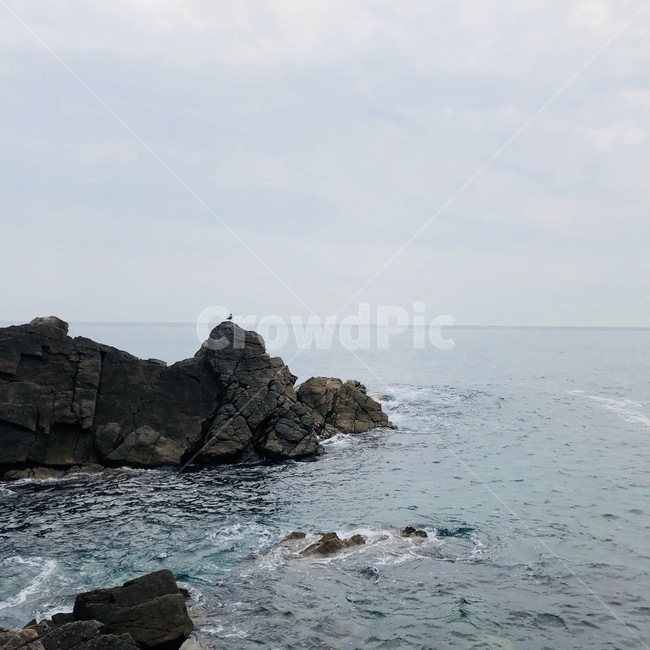 바다,하늘,해변,파도,beach,wave,cloud,구름,자연,내추럴,natural,물결,sky,수평선,곶,water,물,nature,대양,sea,land