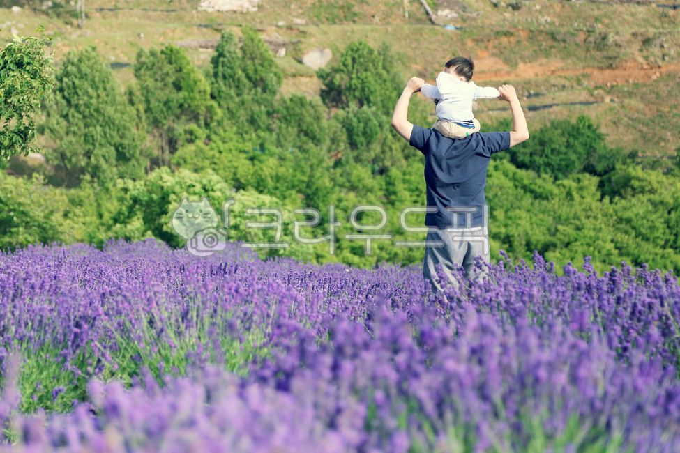 거제,거제도,라벤더,라벤더동산,꽃동산,꽃밭,보라색꽃,지세포,선창마을,지세포성,지세포진성,라벤더공원,lavender,flower,landscape,view,아빠,가족,아기,아빠와아들