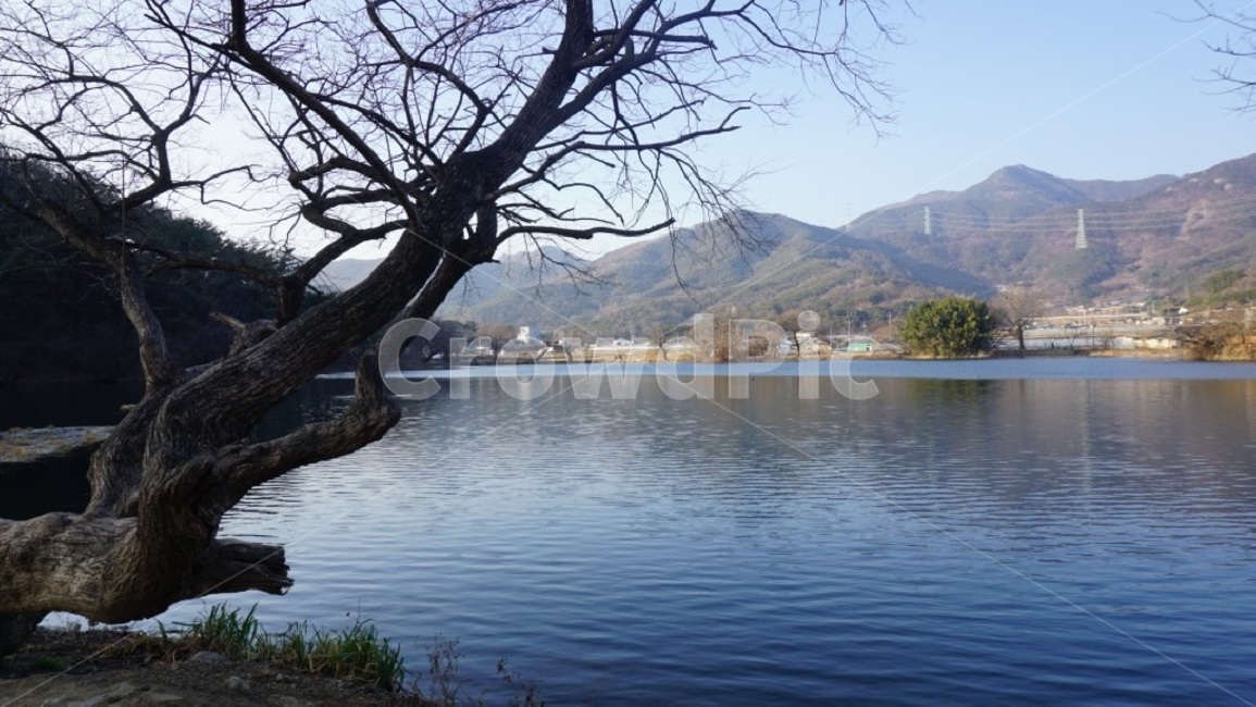 저수지,자연,맑음,겨울,산