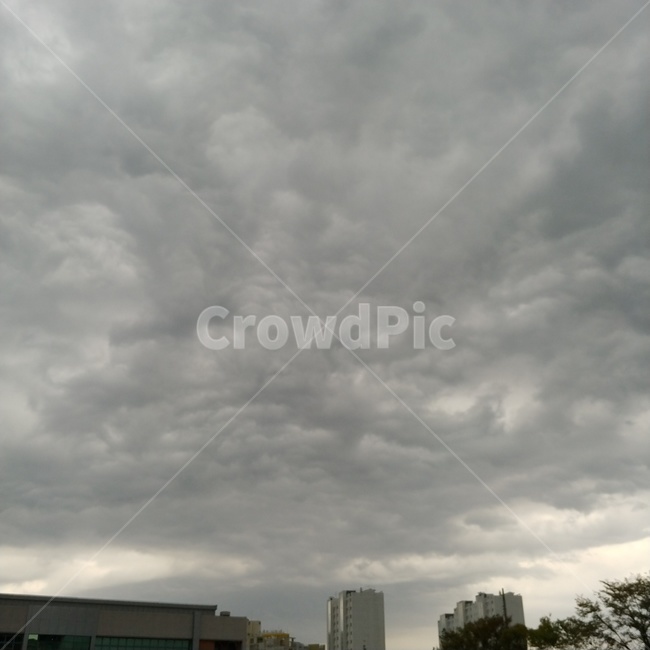 구름,하늘,어두운,먹구름,우중충한,나무,자연,풍경,nature,landscape,weather,날씨,outdoors,옥외,cumulus,적운,cloud,sky