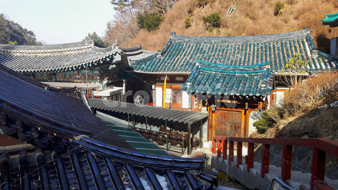 사찰,전통,건축물,불교,산,절,오래된,자연,풍경,맑음,한국문화,건물외관,nature,koreantraditional,koreanculture,exterior,structure,construction,building,temple,건물,architecture,worship
