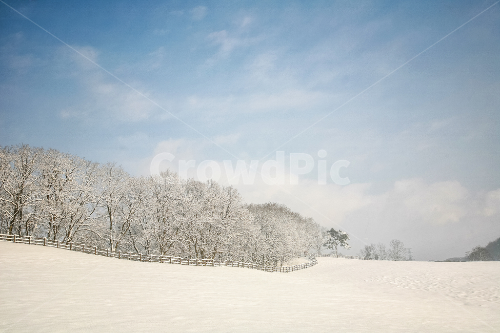 설경,설원,겨울,눈,스노우,화이트,겨울풍경,계절,겨울,계절,winter,season,자연,풍경,nature,landscape
