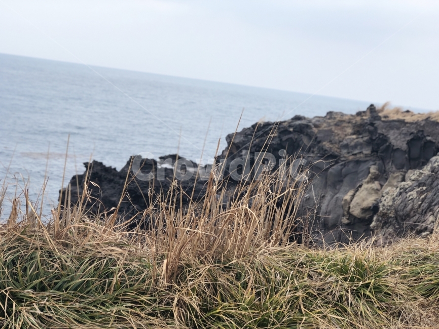 제주,섭지코지,절벽,바다,풍경,자연,풍경,nature,landscape,한국자연풍경,한국자연경관,korea nature landscape,제주도,jeju,jeju island,promontory,곶,outdoors,옥외,cliff,낭떠러지,plant,식물,grass,잔디