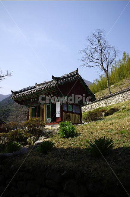 한국,밀양,표충사,사찰,절,전통,하늘,한국전통,한국문화,korean traditional,korean culture,종교,신앙,religion,belief,faith