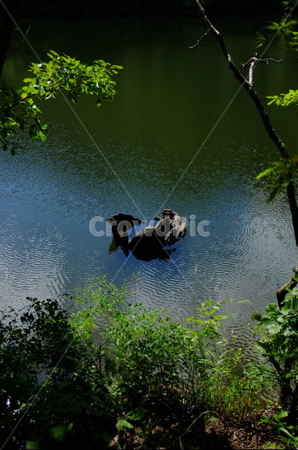 water,물,옥외,nature,자연,주산지,jusanji,청송,주왕산,juwangsanmt