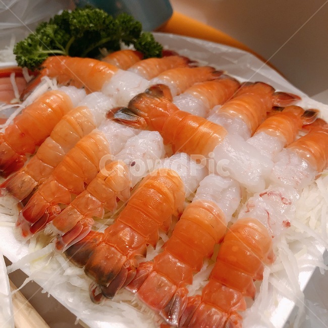 딱새우,딱새우회,새우회,rawshrimp,redbandedlobster,회,생새우,음식,식재료,요리,food,cook,meal,dishes,food reserves,수산물,해산물,fishery products,seafood
