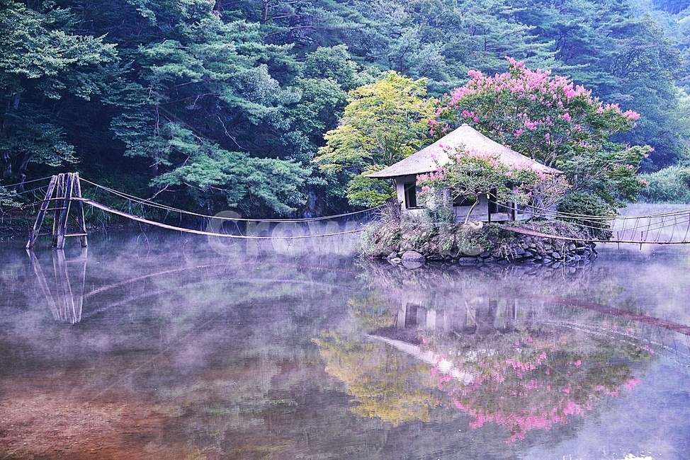 순천,일일레져타운,저수지,물안개,배롱나무,정자,반영,nature,자연,outdoors,옥외,꽃,배롱나무꽃,자연,풍경,nature,landscape