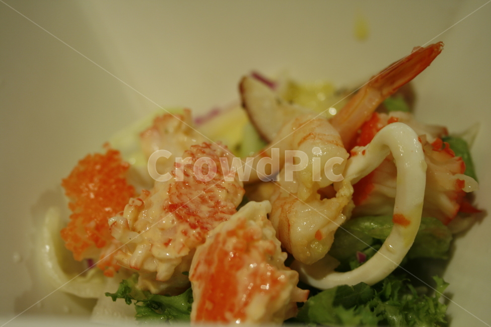 음식,요리,food,식사,샐러드,게살,야채,음식,식재료,요리,food,cook,meal,dishes,food reserves