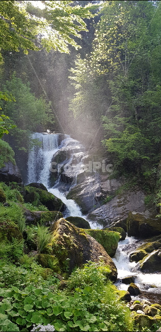 폭포,시원,자연,산속,숲,자연,풍경,nature,landscape,휴식,힐링,rest,relaxation,healing,water,물,river,강,outdoors,옥외,waterfall