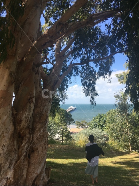 자연,해변,여자뒷모습,휴양지,감성