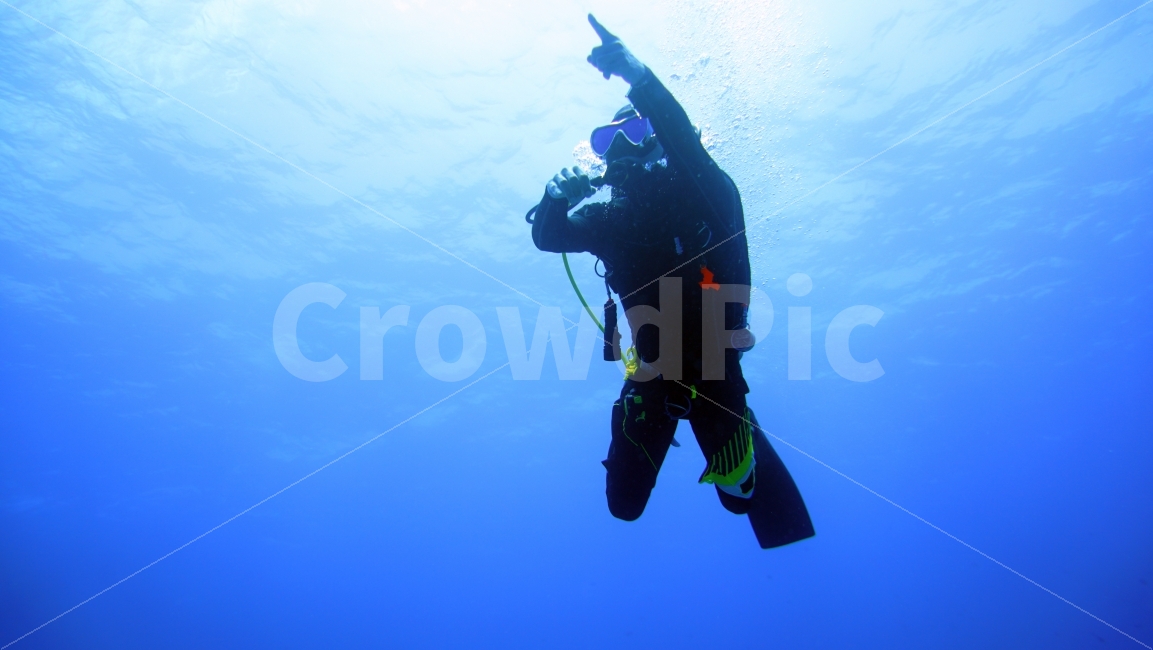 diving,scuba diving,ocean,underwater,skin scuba