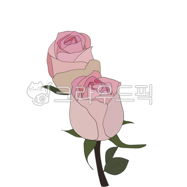 flower, 꽃, rose, 장미, drawing, 사진,이미지,일러스트,캘리그라피 - pinkpig7작가