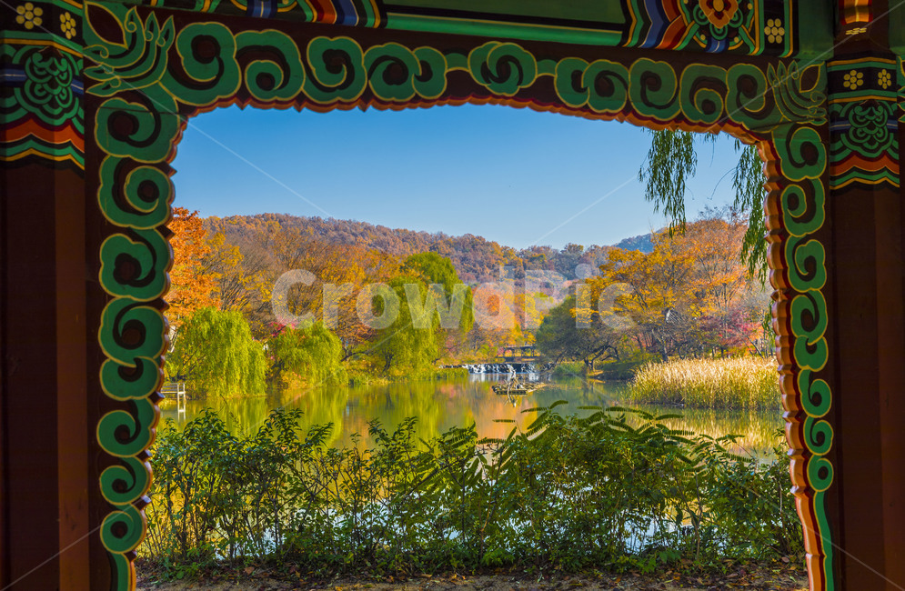 가을,단풍,낙엽,단청,풍경,자연,무늬,반영,가을,계절,fall,autumn,season,자연,풍경,nature,landscape,한국자연풍경,한국자연경관,korea nature landscape,outdoors,옥외,plant,식물
