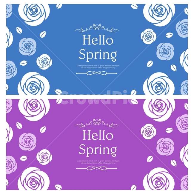 장미,장미꽃,꽃,잎,봄,팝업,이벤트,쇼핑,봄,계절,spring,season,그래픽,일러스트레이션,graphic,illustration,label,상표