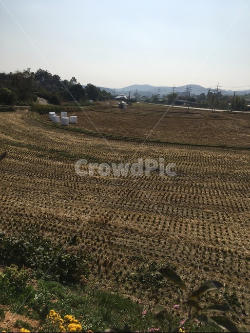 ground,바닥,outdoors,옥외,nature,자연,land,땅