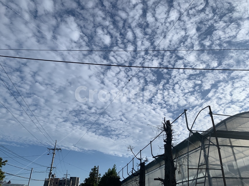 utilitypole,전신주,하늘,구름,낮,sky,cloud,자연,풍경,nature,landscape,utility pole