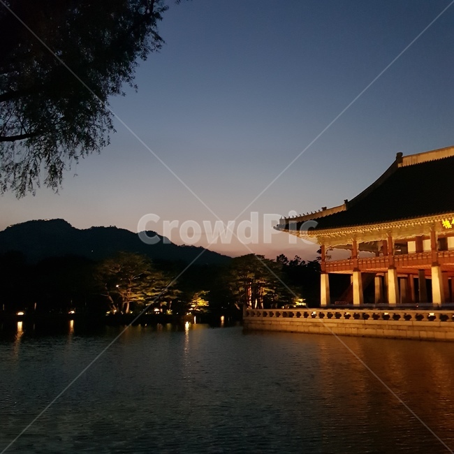 한국,경복궁,gyeongbokgung,야간개장,palace,한국전통,한국문화,korean traditional,korean culture,랜드마크,landmark,tourist attraction,한국랜드마크,한국관광지,한국명소,korea landmark,korea tourist attraction