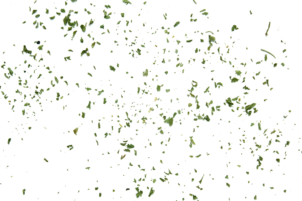 말린잎,cooking,parsleyleaf,양념,탑앵글,parsley,파슬리가루,파슬리,driedparsley,파슬리잎,dry,dryparsley,food,green,italian,leaf,macro,plant,powder,topview,식재료,closeup,요리재료,말린,마른,가루,파우더,이탈리안,음식,식재료,요리,food,cook,meal,dishes,food reserves,누끼,remove background