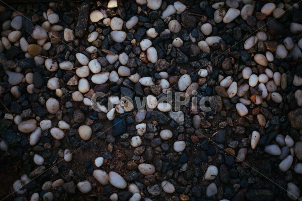 규칙,불규칙,컴퓨터바탕화면,바탕화면,배경화면,필름,fujifilm,감성,감성사진,aesthetic,aesthetics,regular,irregular,rule,텍스처,질감,패턴,texture,pattern
