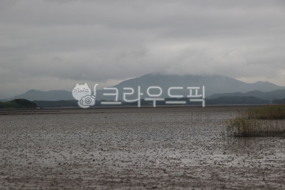 바다,바다갯벌,갯벌,바다뻘,뻘,개펄,mudflat,seamudflat