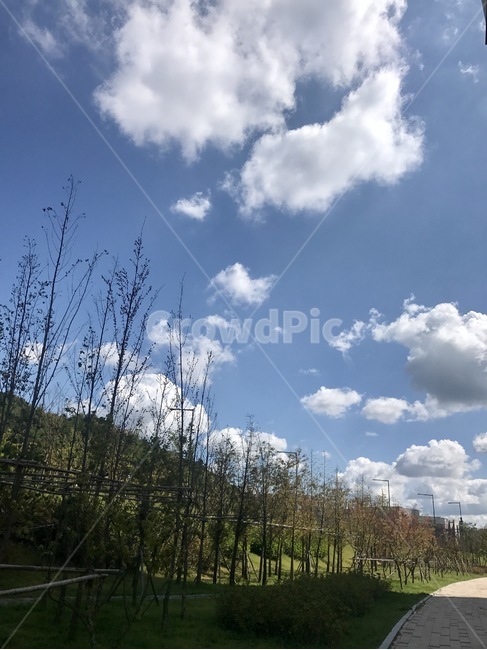 하늘,날씨,계절,구름,산,언덕,맑음,나무,10월,자연,풍경,nature,landscape,outdoors,옥외,weather,cumulus,적운,cloud,sky