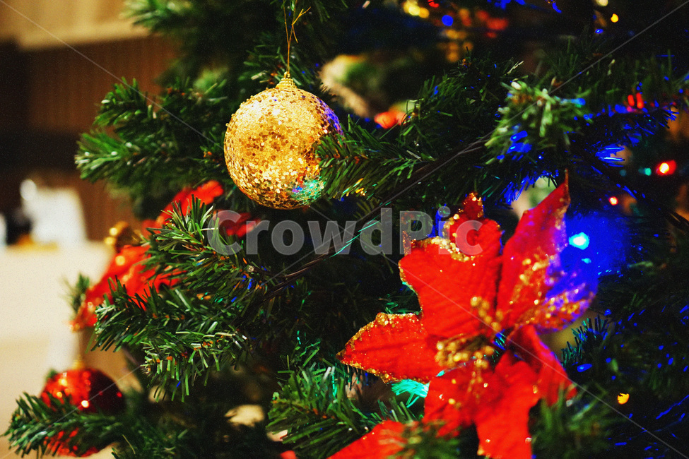크리스마스,트리,풍경,감성,장식,christmas,tree,view,emotion,feeling,red,yellow,겨울,계절,winter,season,기념일,축하,anniversary,congratulation,celebrate,celebration,메리크리스마스,성탄절,merry christmas,사물,물건,오브젝트,thing,object,matter