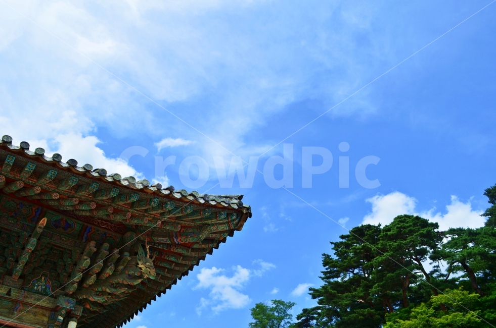 한옥,기와,하늘,구름,자연,푸른,푸르른,nature,korea,건축물,건물외관,exterior,building,structure,architecture,construction,한국전통,한국문화,korean traditional,korean culture,종교,신앙,religion,belief,faith
