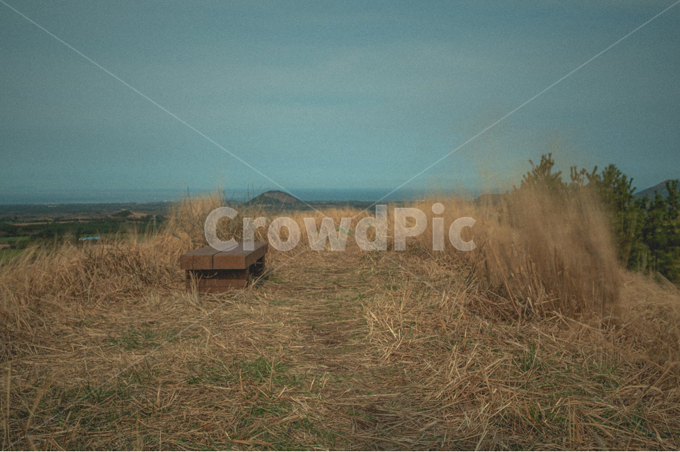 벤치,구름,제주,길,풀,풀밭,산책,감성,road,제주도,하늘,초원,sky,nature,grass,휴식,rest,relaxation,grassland,목초지,field,들,옥외,outdoors,자연,오름